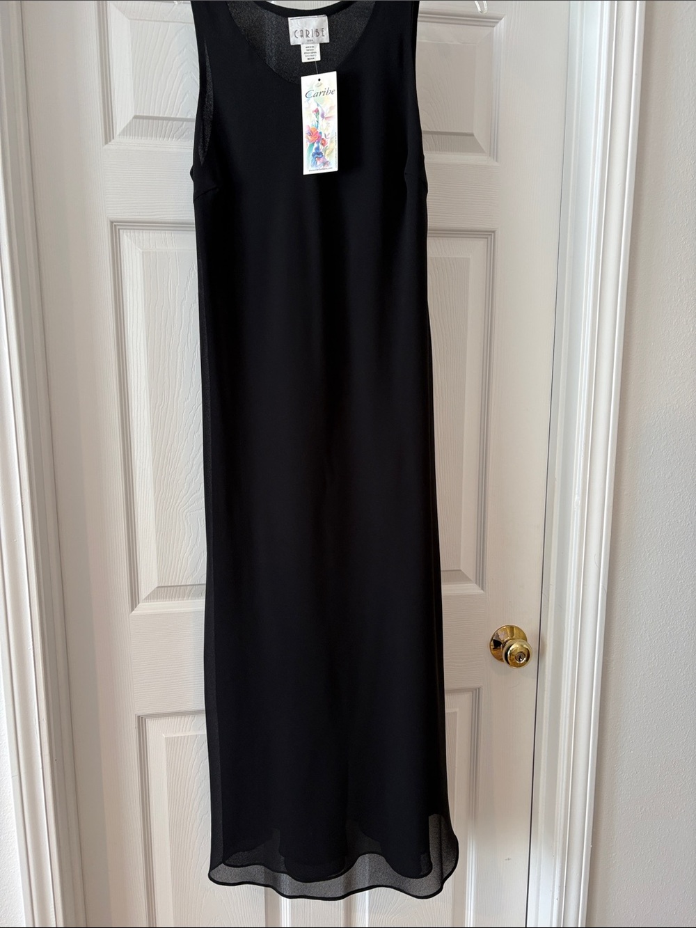 Caribe NWT Georgette fully lined maxi dress.  Size M